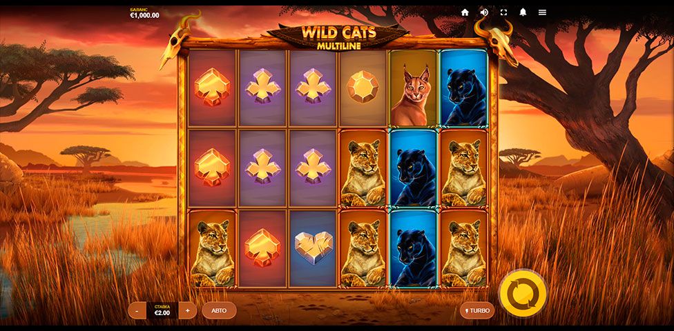 Wild Cats Multiline